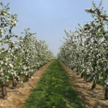 Chambre Damis Extérieur