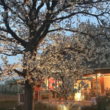 Chambre Damis Extérieur