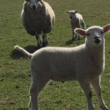Chambre Damis Extérieur