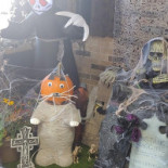 Theofanis Grieks Boisson