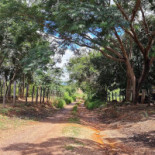 Cafe Tabac B.v. Amsterdam Extérieur