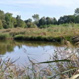 't Rustpunt Exterior