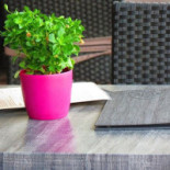 De Barkentijn Boisson