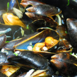 De Barkentijn Boisson