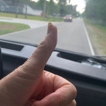 Blackbird Bio-kaffee Boisson