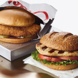 Blackbird Bio-kaffee Nourriture