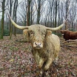 Voscheheugte Eethuis Natuurcamping Extérieur