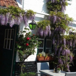 Paul Delvaux Brasserie ´t Vlierhof Extérieur