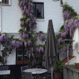 Paul Delvaux Brasserie ´t Vlierhof Extérieur