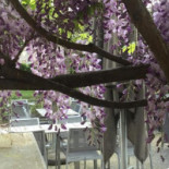 Paul Delvaux Brasserie ´t Vlierhof Extérieur