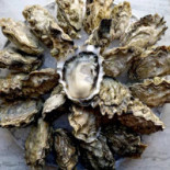 Van Der Valk Utrecht Bebida