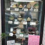 Rauw À l'intérieur