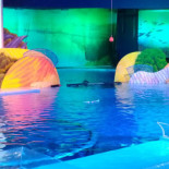 Schimmel Woudenberg Carte