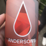 Fietspont Dalfsen Boisson