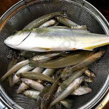 La Bourse Verviers Nourriture