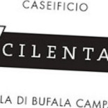 D'angelo Pizzeria Logo