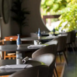 Rinoceros À l'intérieur