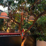 Bistro Bruut Extérieur