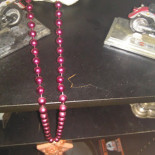 Het Wapen Van Warmond Boisson