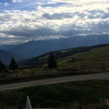 L'amandier Extérieur