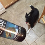 Quatro Cinema Boisson