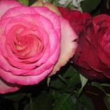 The Mandarin Boisson