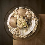 Yami Yami Nourriture