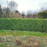 Palmyra Food Extérieur