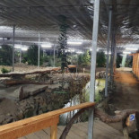 Indoor Mountainbike Exterior