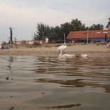 Haddock Watersport Exterior