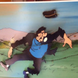 Haddock Watersport Bebida