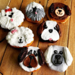 Falafellow B.v. Amsterdam Boisson