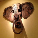 Thais Salathai Boisson