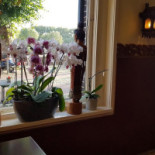 Thais Salathai Extérieur