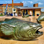 Vis En Zo Extérieur