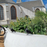 Vis En Zo Extérieur