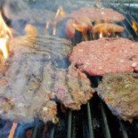 Parapetto Nourriture