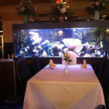 China-town Arnhem À l'intérieur