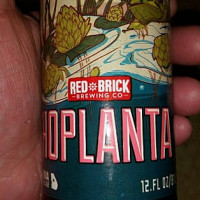 Subway Arnhem Boisson