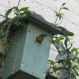 't Eetatelier Arnhem Boisson