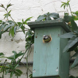 't Eetatelier Arnhem Boisson