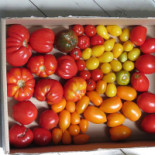 't Eetatelier Arnhem Boisson