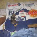 Fisch- Und Pommesbude Carte