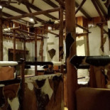 Farao À l'intérieur