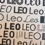 Leo Logo