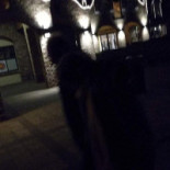 Snackrestaurant De Cocksboot À l'intérieur