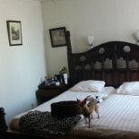 Wienerhof À l'intérieur