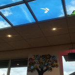 Snackbar Lin Extérieur