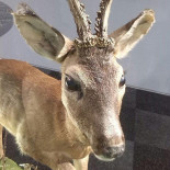 Bistro La Route Boisson