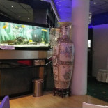 New King Tiu À l'intérieur